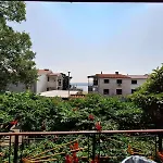 Ivy Apartament *