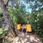 Ivy Apartament Selce